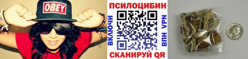 Галлюциногенные грибы Magic Shrooms  mega как войти  Николаевск-на-Амуре  магазин  наркотиков 